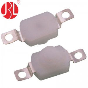 JBL8-1001E Push Button Switch Through Hole vertical