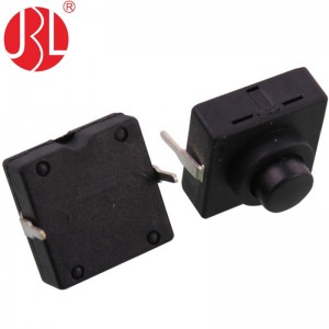JBL8-1120-209 Push Button Switch Through Hole vertical