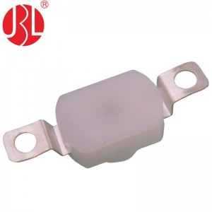 JBL8-1001E Push Button Switch Through Hole vertical