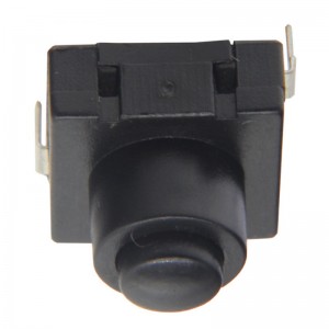 JBL8-1120-201 Push Button Switch Through Hole vertical