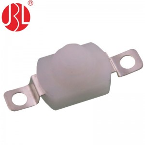 JBL8-1001E Push Button Switch Through Hole vertical
