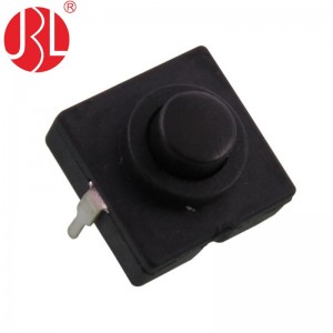 JBL8-1120-209 Push Button Switch Through Hole vertical