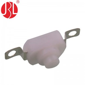 JBL8-1001E Push Button Switch Through Hole vertical