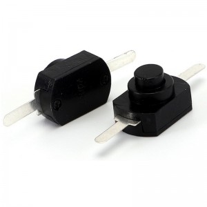JBL8-1001G Push Button Switch Through Hole vertical