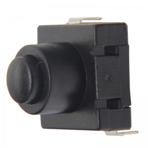 JBL8-1120-201 Push Button Switch Through Hole vertical