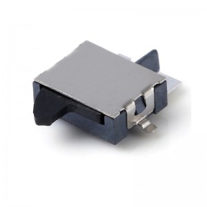 DT045-R through hole vertical Micro Switch