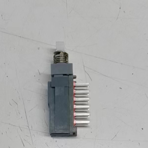 PS-42D09L Push Button Switch Through Hole right angle