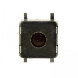 TS-2204 DPDT tactile switch Surface Mount vertical