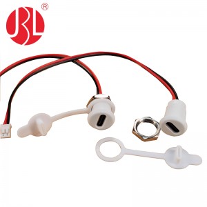 USB-20C-F-02HL02 Transparent Custom Screw Panel Mounting USB 2.0 Type C Female Connector